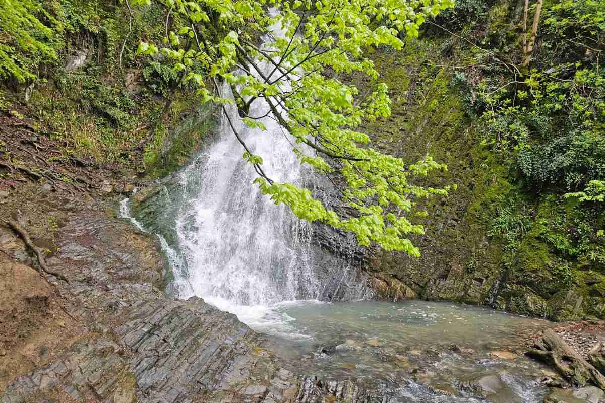 Gabala & Shamakhi Day Tour — photo 7