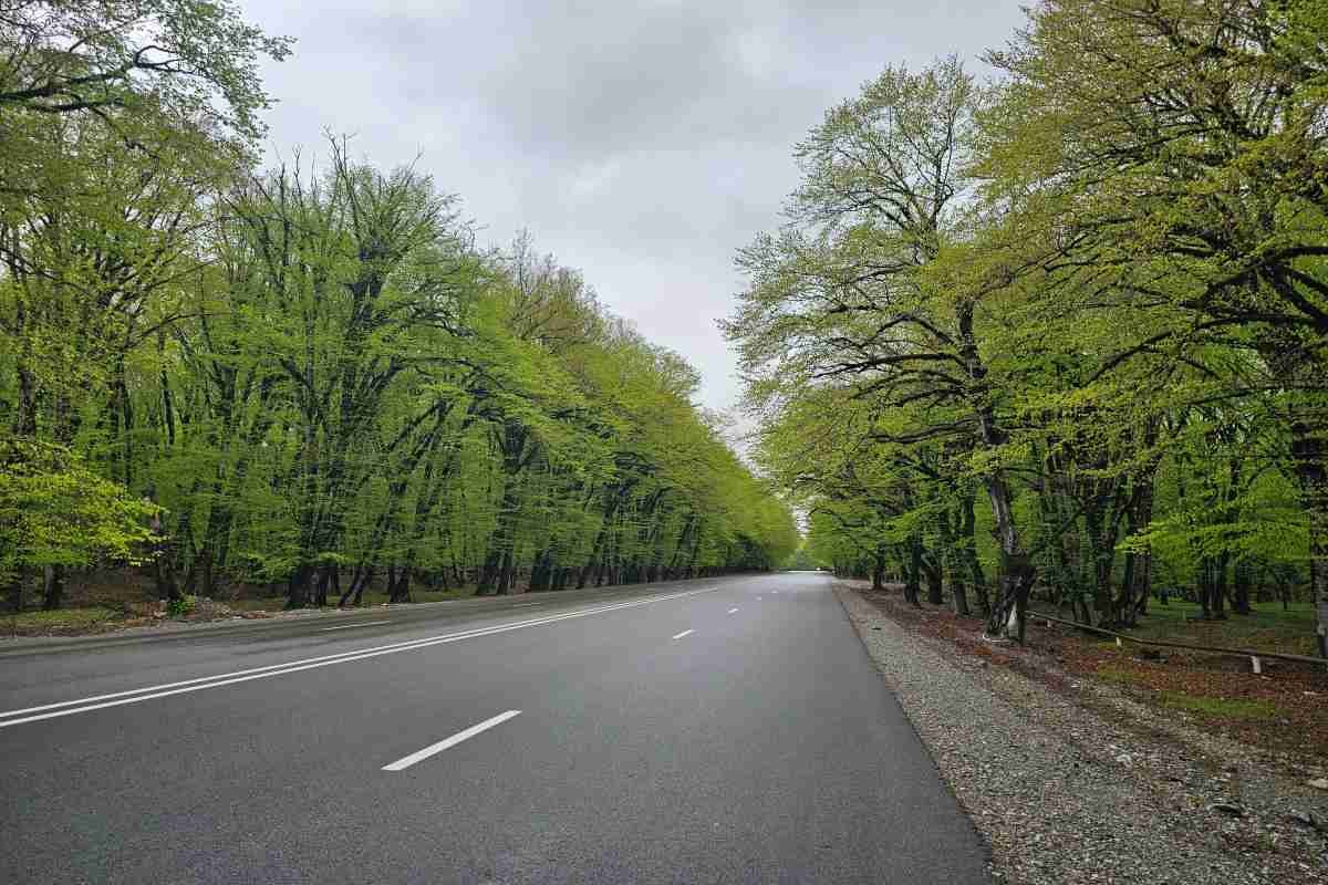 Gabala & Shamakhi Day Tour — photo 4