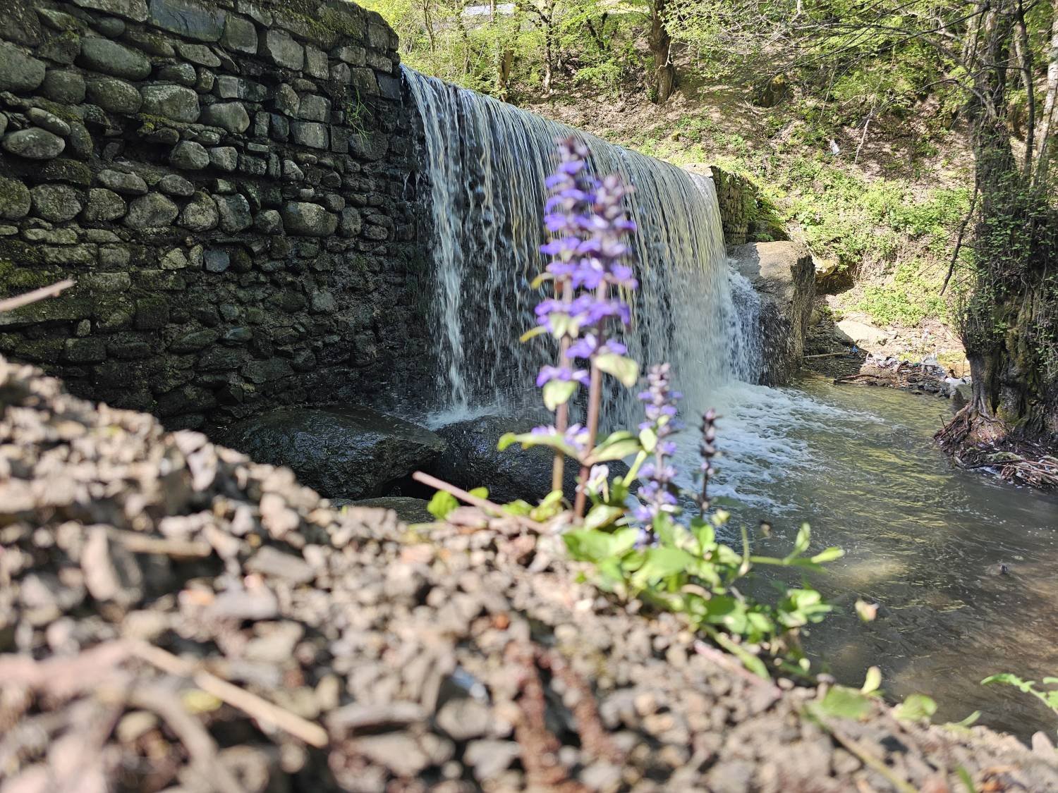 Тур Ленкорань Лерик из Баку: чай, озёра и водопады — photo 2