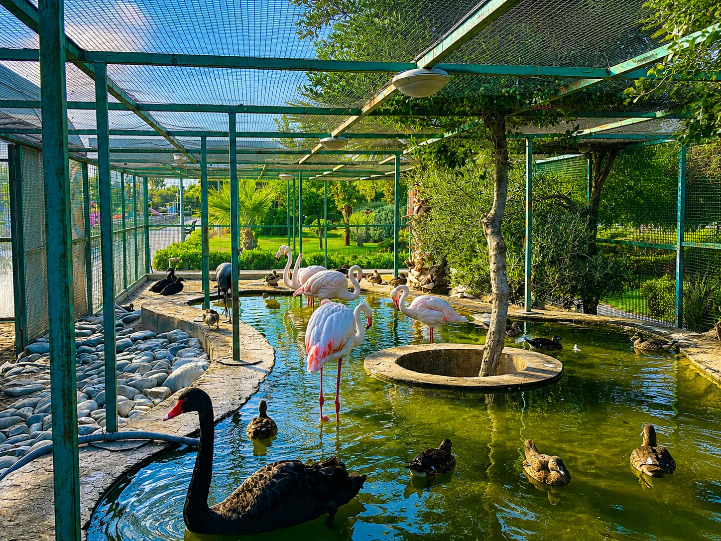 Baku Flamingo Tour & Caspian Sturgeon Coast — photo 11