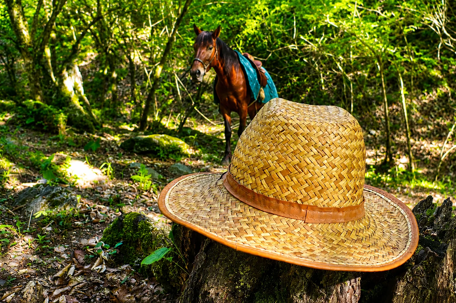 Gabala Horseback Riding Tour in Laza, Azerbaijan — photo 5