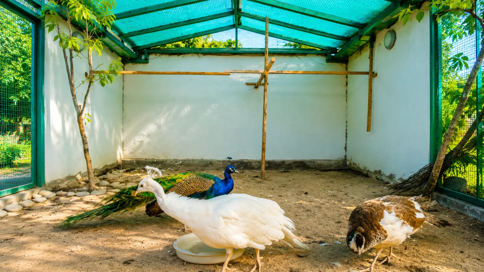 Baku Flamingo Tour & Caspian Sturgeon Coast — photo 12