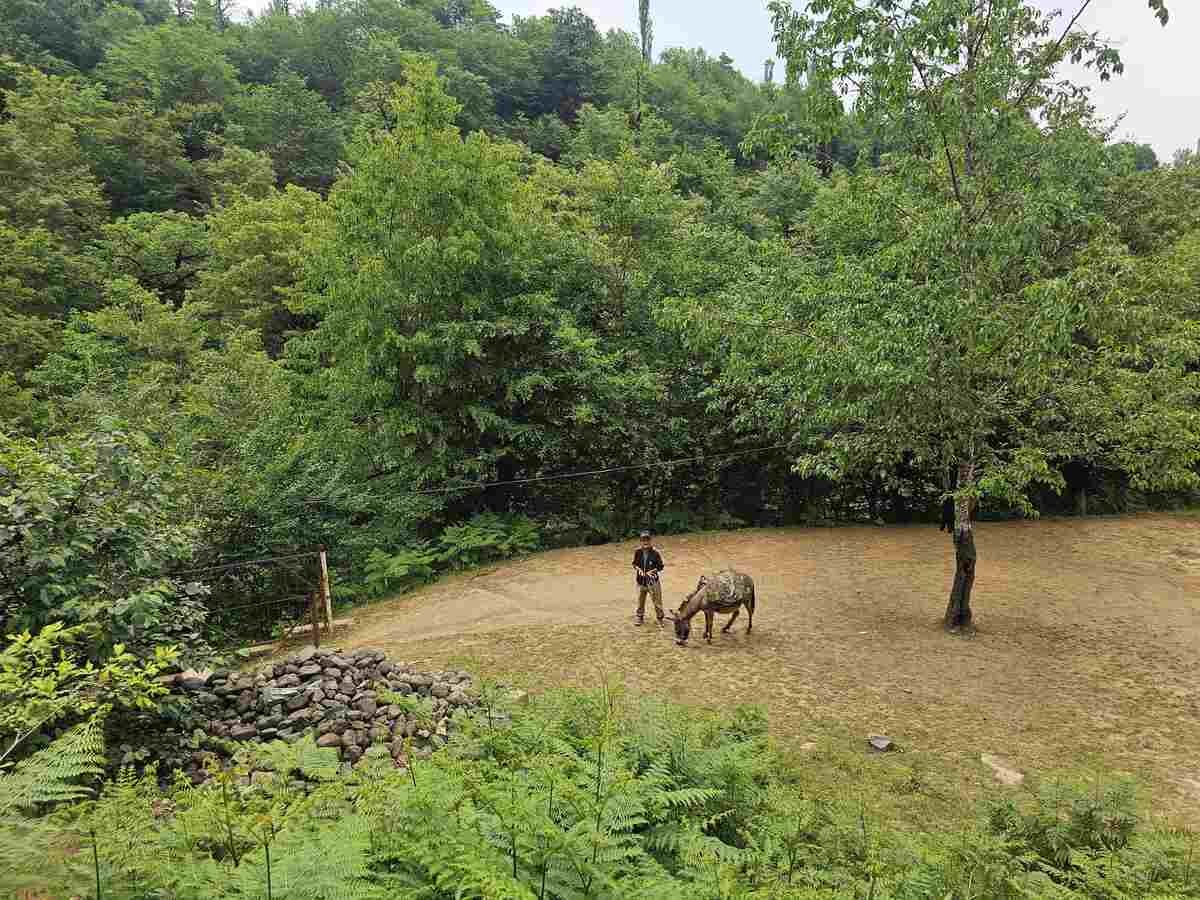 Lerik Waterfalls Tour from Baku: Galabin & Bibiyoni Falls — photo 4