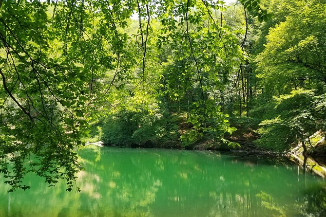 Garanohur Lake Hiking Tour from Baku: Forests, Meadows & Mountain Water
