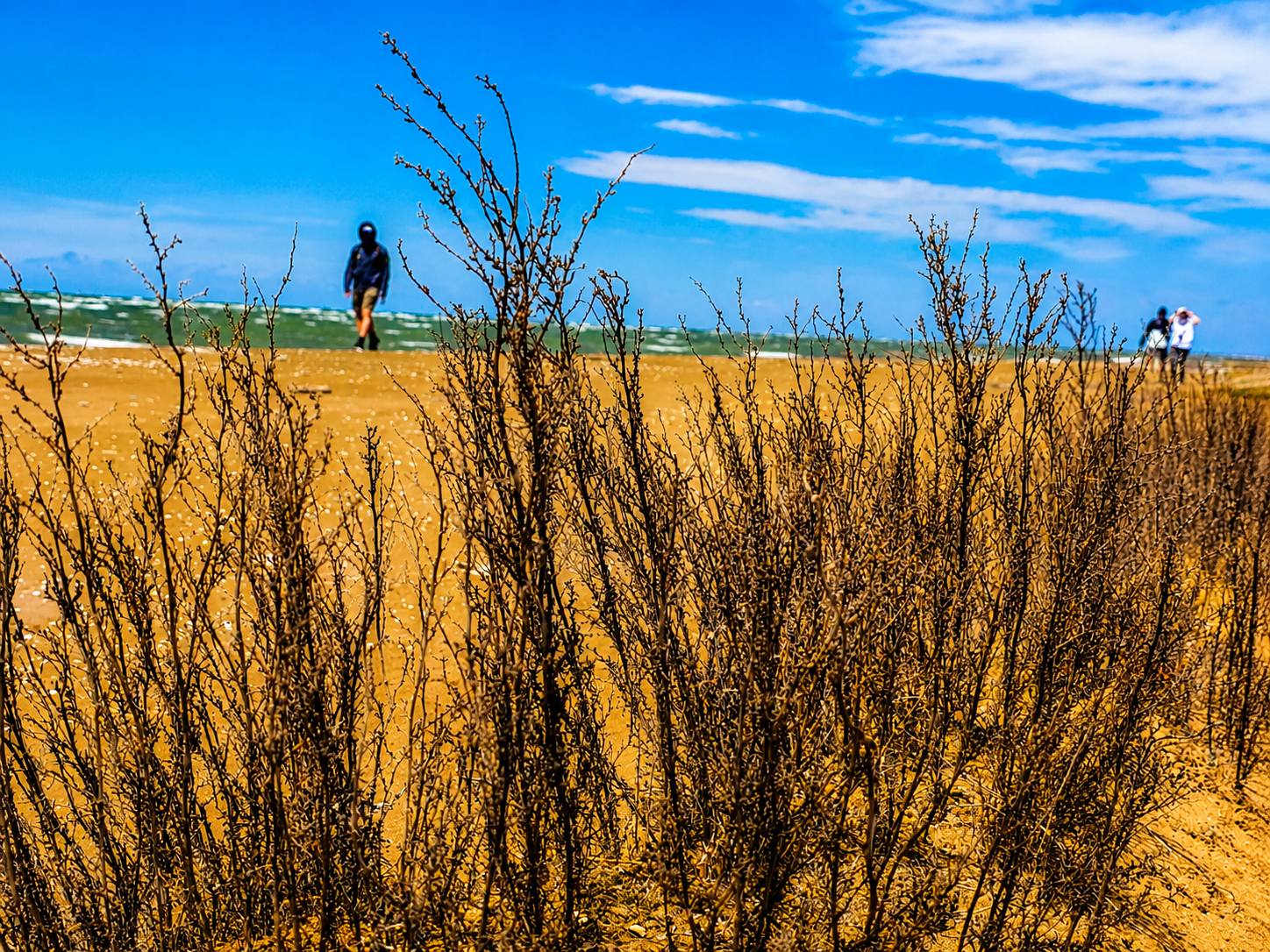 Shahdili Spit: The Most Adventurous Hiking Tour in Baku — photo 11