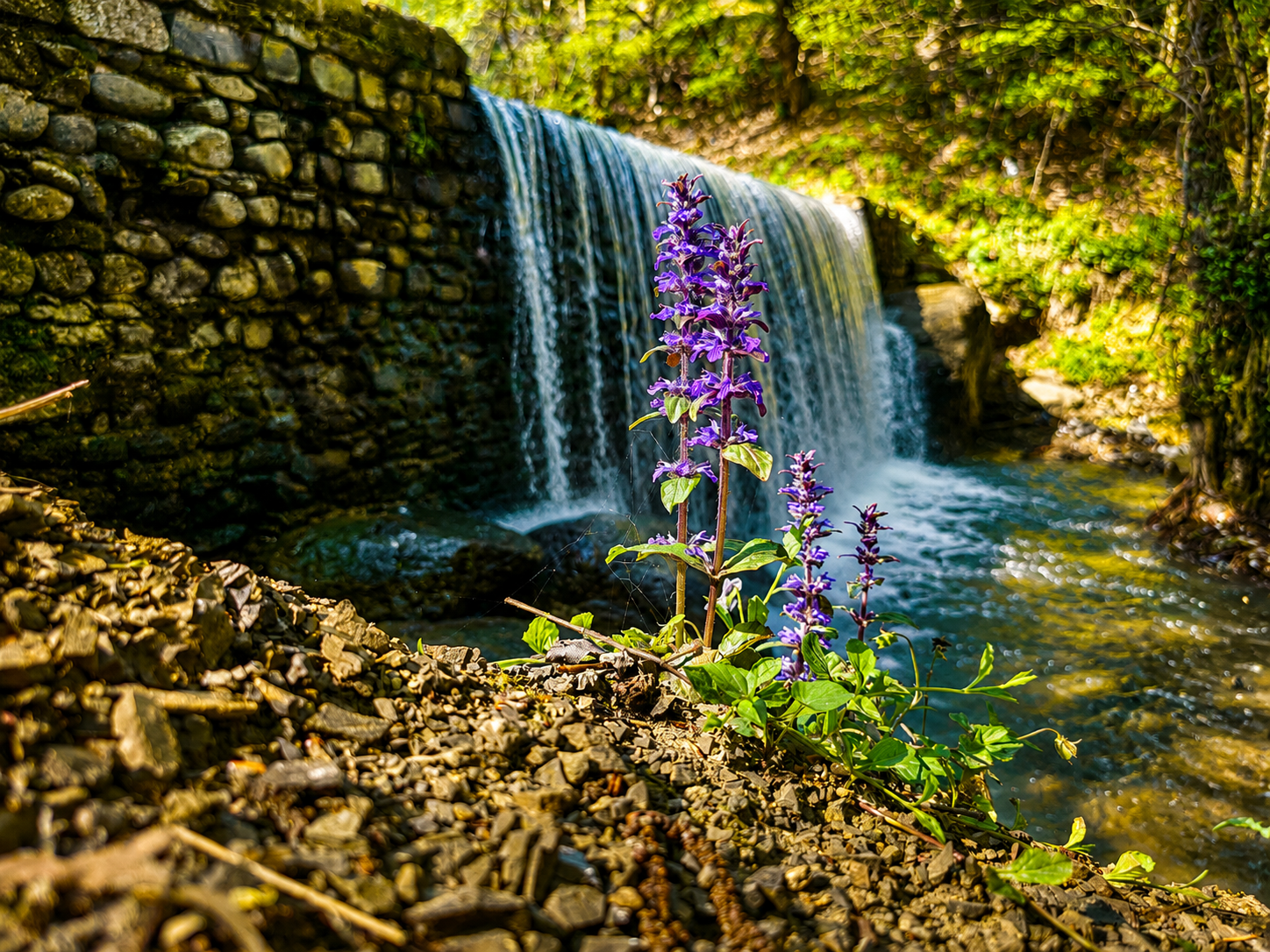 Тур Ленкорань Лерик из Баку: чай, озёра и водопады — photo 7