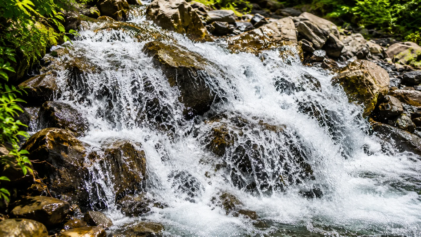 Duruja Hiking Tour from Baku: Gabala Waterfalls & Village — photo 4