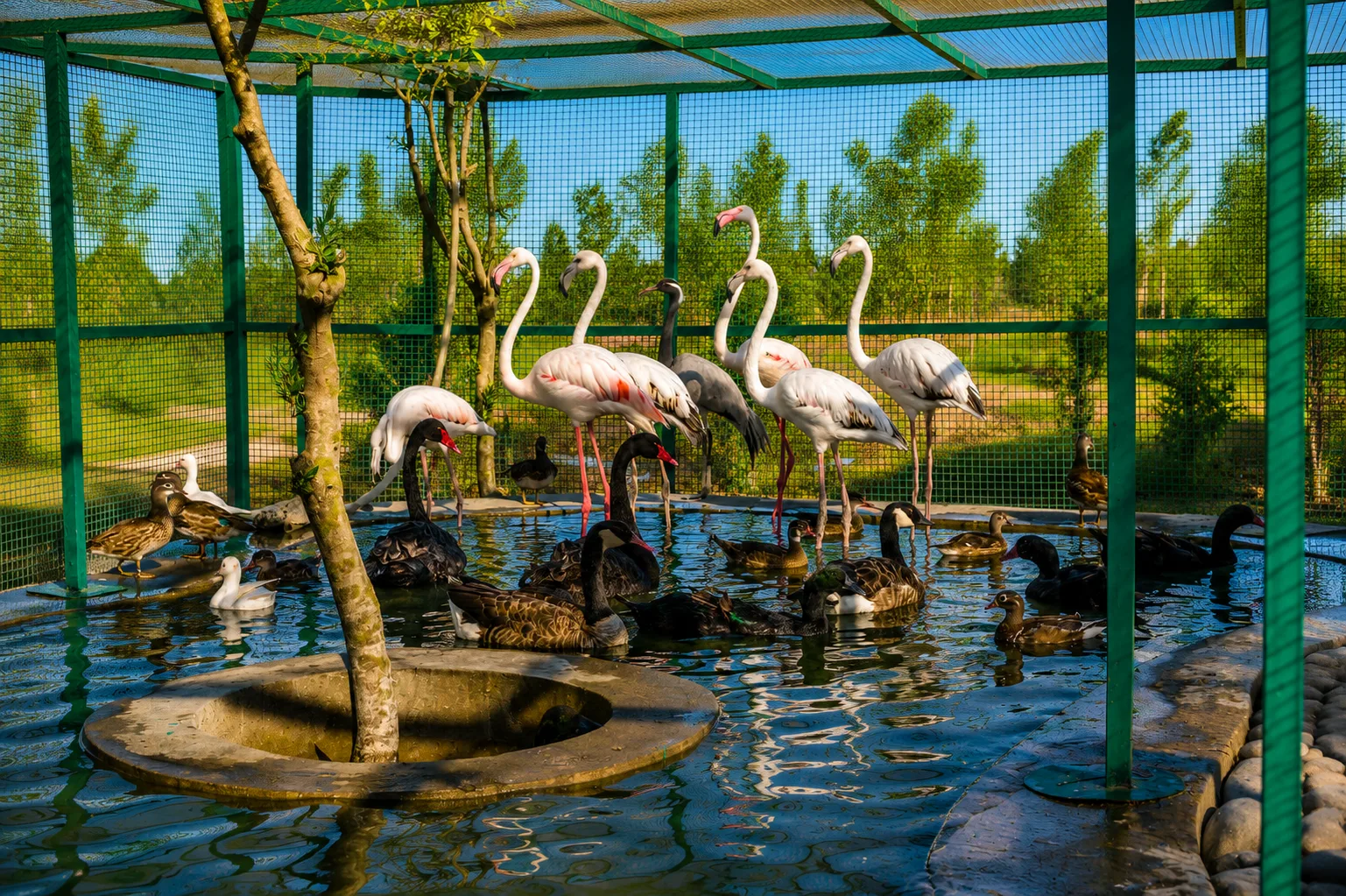 Baku Flamingo Tour & Caspian Sturgeon Coast — photo 7