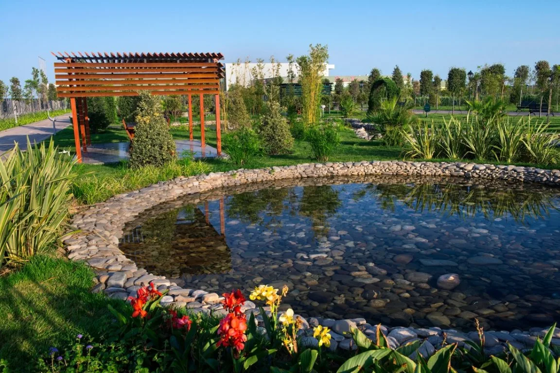 Baku Flamingo Tour & Caspian Sturgeon Coast — photo 5