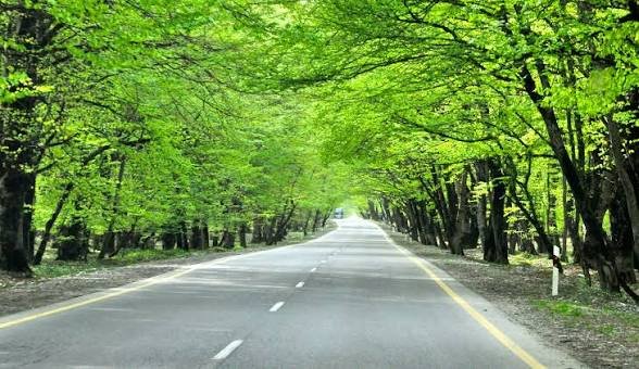 The Road to Gabala — Gabala & Shamakhi Day Tour